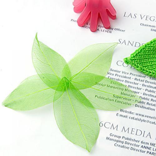Natural Catbrier Skeleton Leav - Craft Embellishments ulasan dan harga