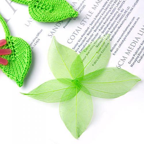 Natural Catbrier Skeleton Leav - Craft Embellishments ulasan dan harga