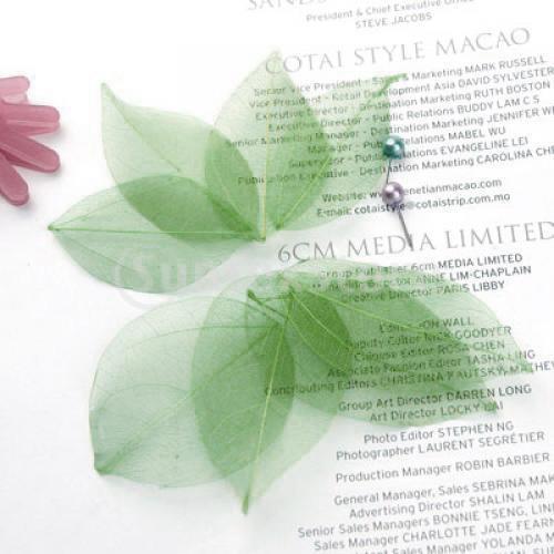 Natural Catbrier Skeleton Leav - Craft Embellishments ulasan dan harga